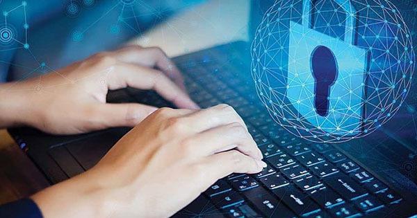 Hướng dẫn chơi bài phỏm hiệu quả cho người mới bắt đầu